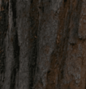 Screenshot 2025-09-03 at 21.26.51.png